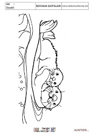 Su-Samuru boyama sayfaları